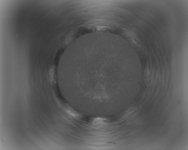 X0000071340222200606231146