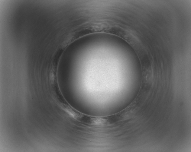 X0000071340226200606231146