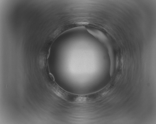 X0000071340227200606231146