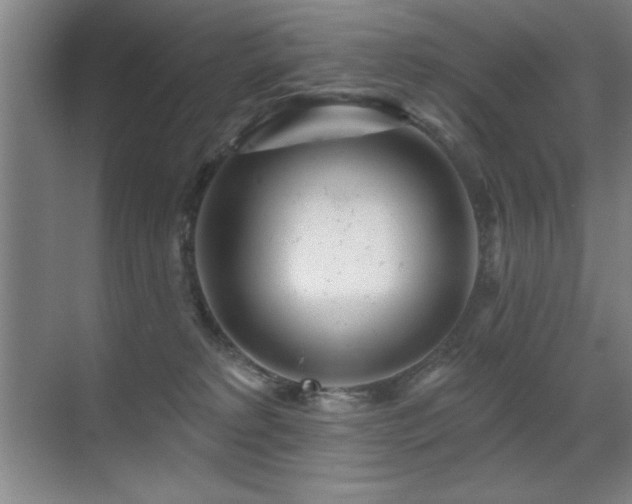 X0000071340229200606231146