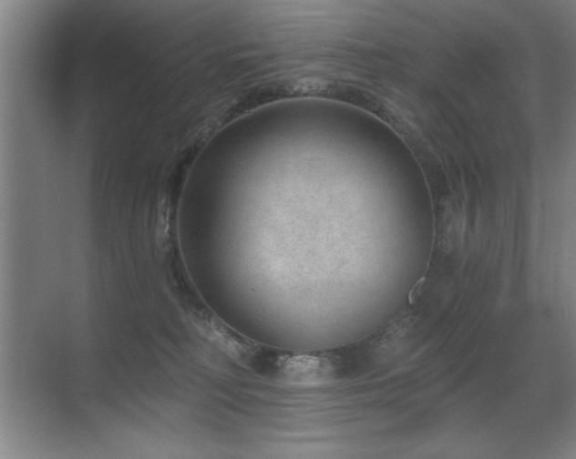 X0000071340230200606231146