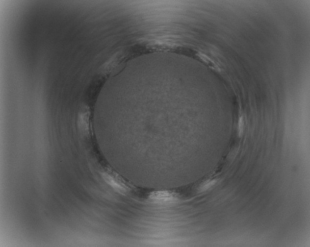 X0000071340231200606231146