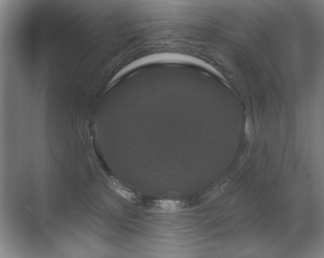 X0000071340233200606231146