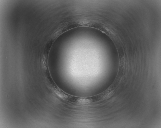 X0000071340234200606231146