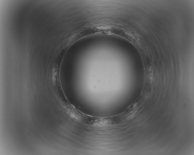 X0000071340235200606231146