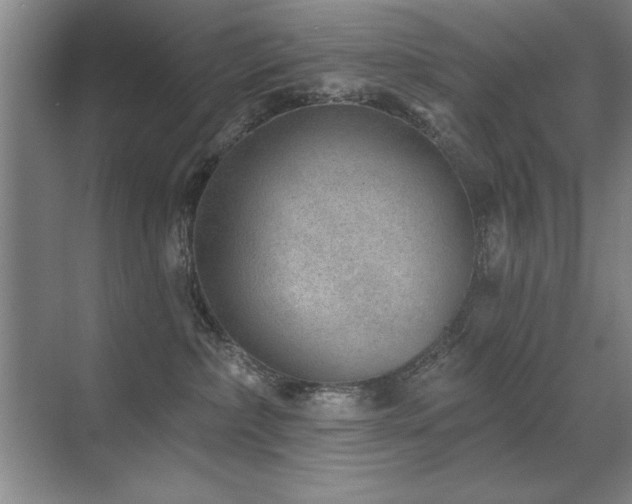 X0000071340236200606231146