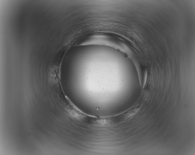 X0000071340237200606231146