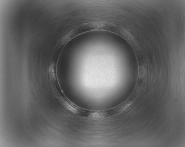 X0000071340238200606231146