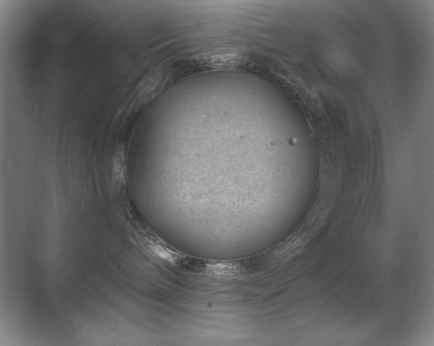 X0000071340240200606231146