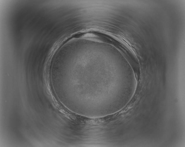 X0000071340241200606231145