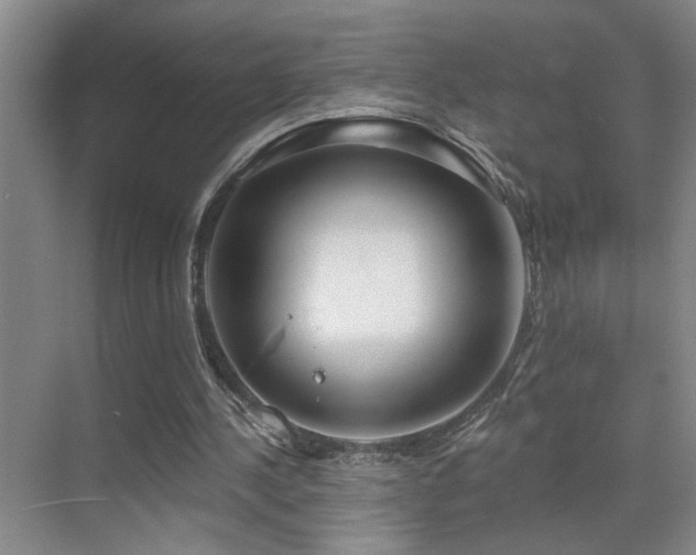 X0000071340244200606231145