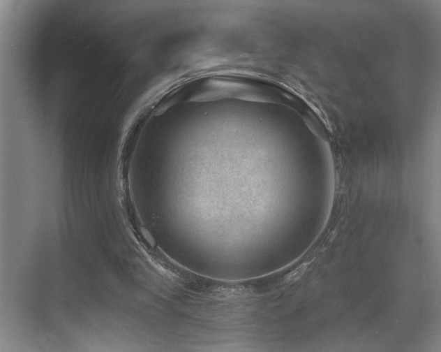 X0000071340245200606231145