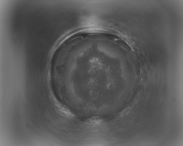 X0000071340247200606231145