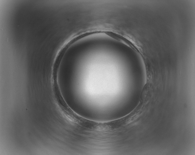 X0000071340248200606231145