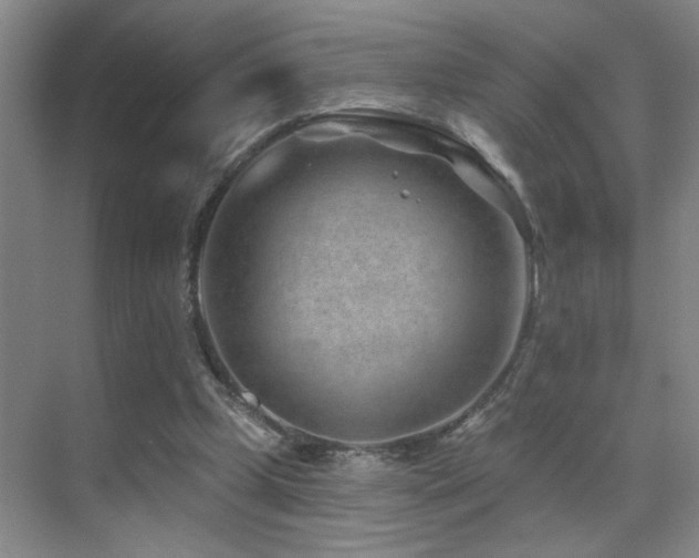 X0000071340249200606231145