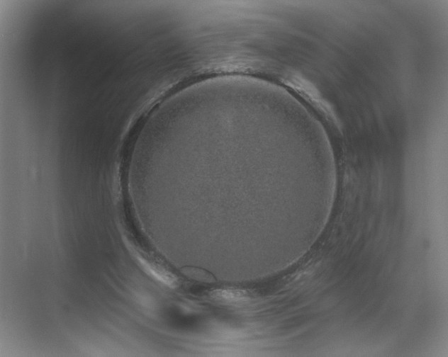 X0000071340250200606231145