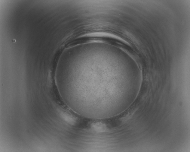 X0000071340258200606231146