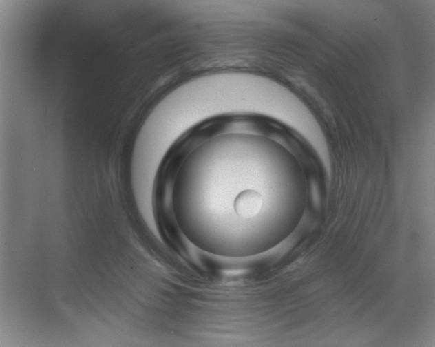 X0000071340260200606231146