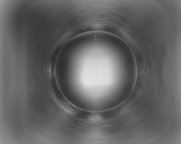 X0000071340262200606231146