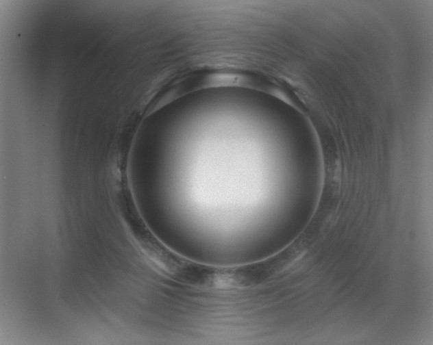 X0000071340264200606231146