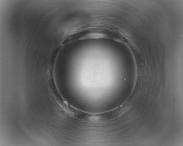 X0000071340265200606231146