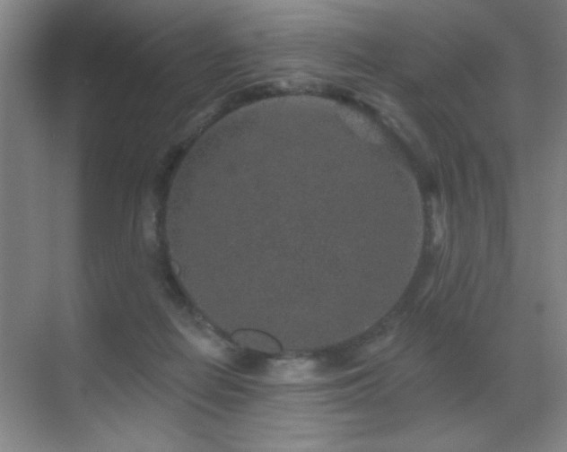 X0000071340266200606231146