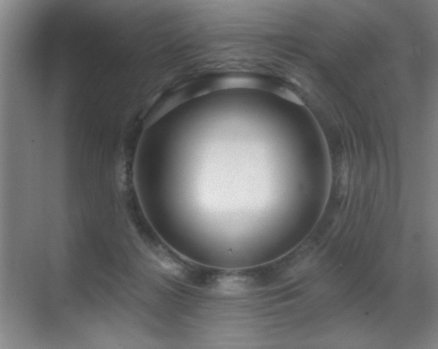 X0000071340268200606231146