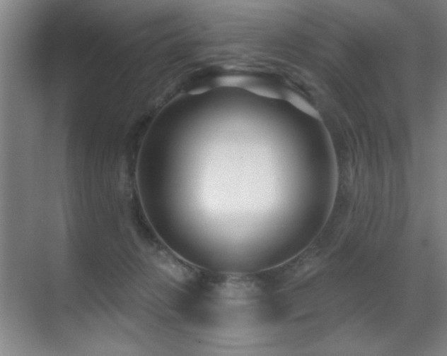 X0000071340270200606231146