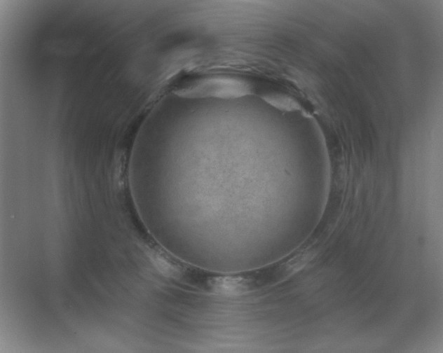 X0000071340273200606231146