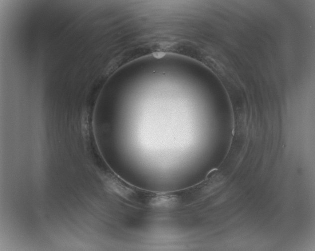 X0000071340274200606231146