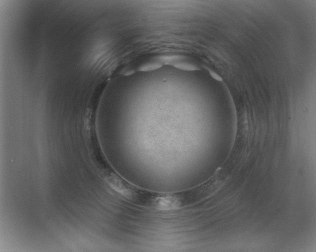 X0000071340275200606231146