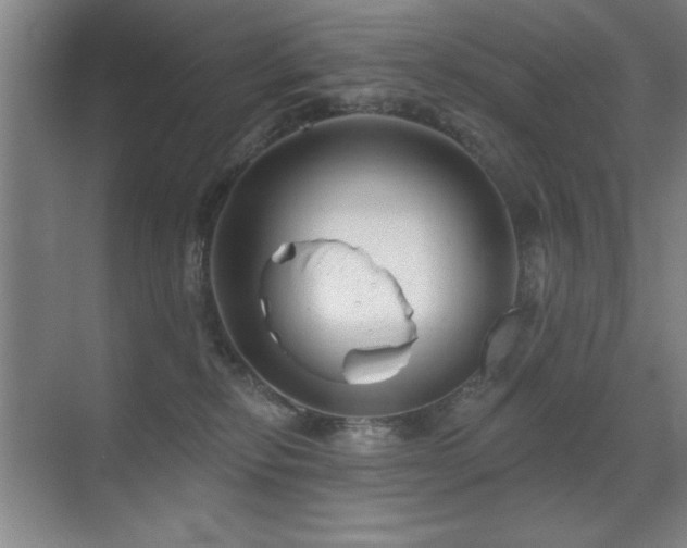 X0000071340278200606231146