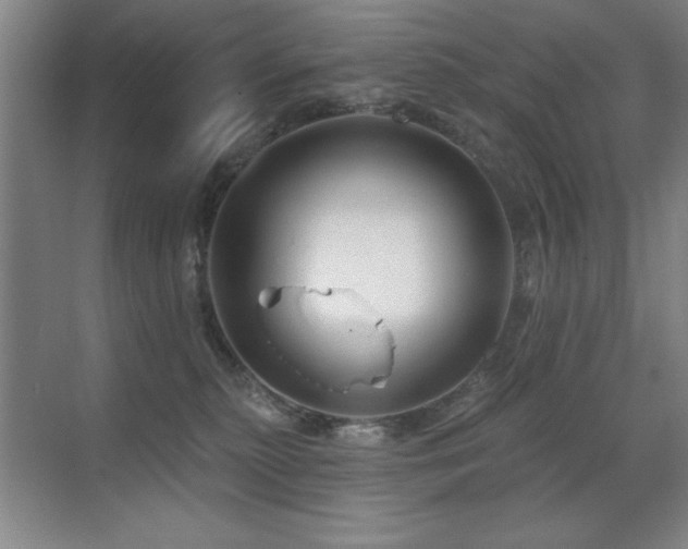 X0000071340279200606231146