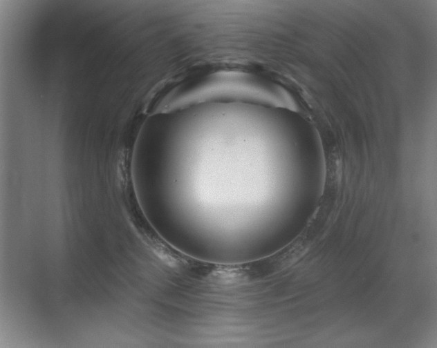 X0000071340280200606231146