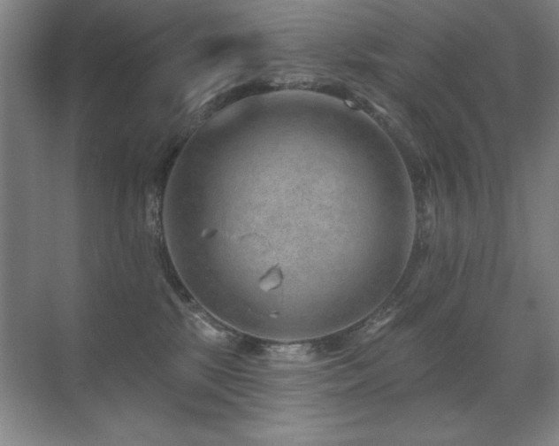 X0000071340281200606231146