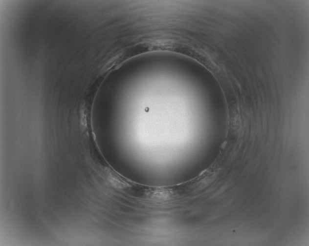 X0000071340282200606231146