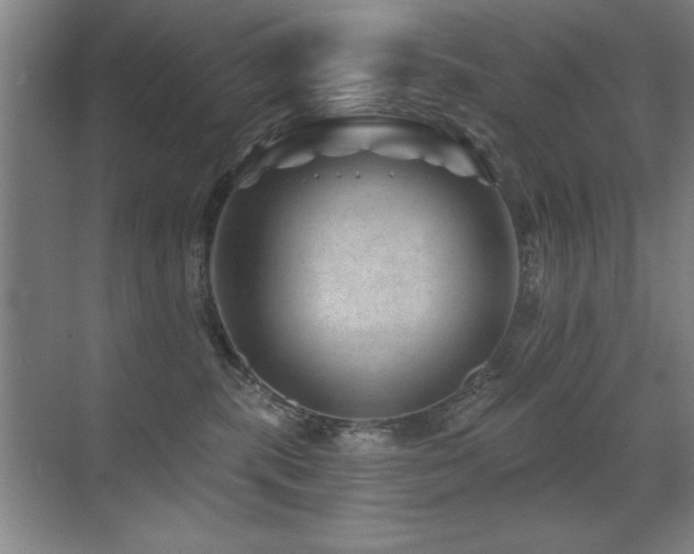 X0000071340283200606231146