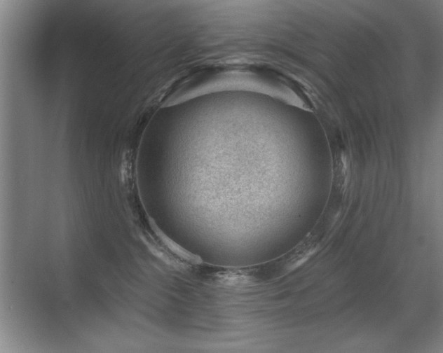 X0000071340284200606231146