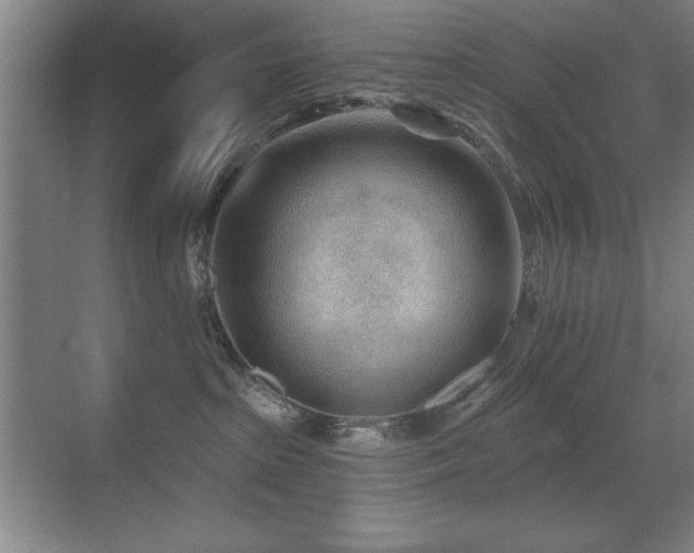 X0000071340285200606231146