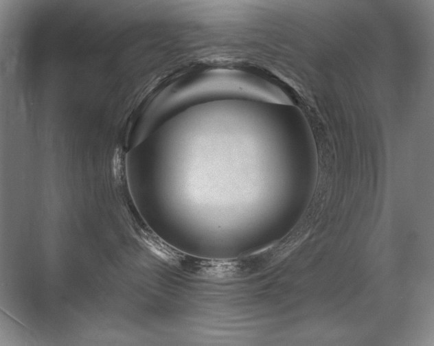 X0000071340288200606231146