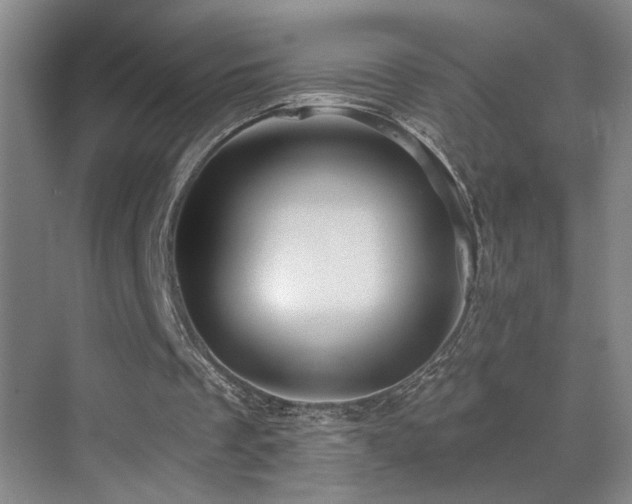 X0000071340289200606231145