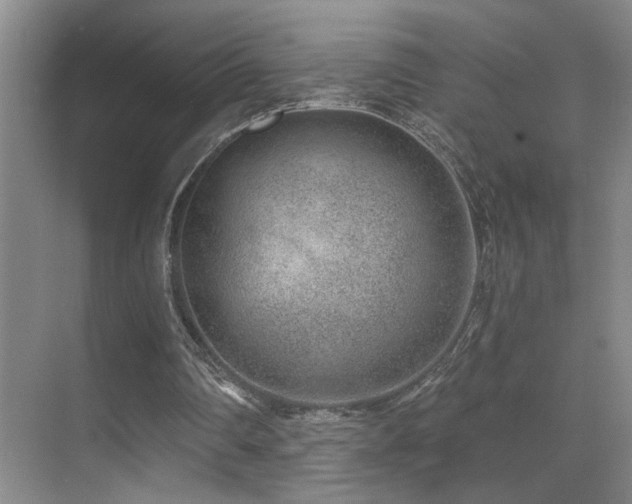 X0000071340290200606231145