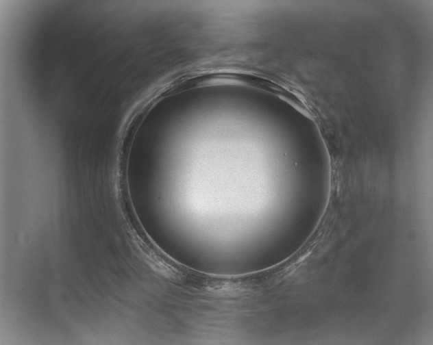 X0000071340293200606231145