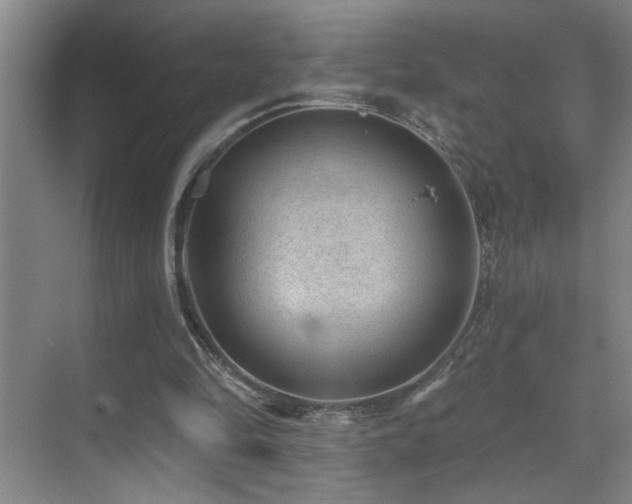 X0000071340294200606231145