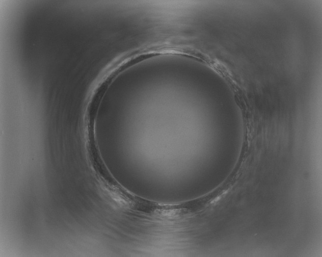 X0000071340295200606231145