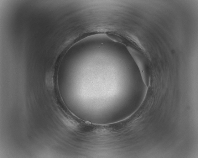 X0000071340299200606231145