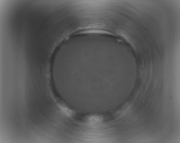 X0000071340303200606231145