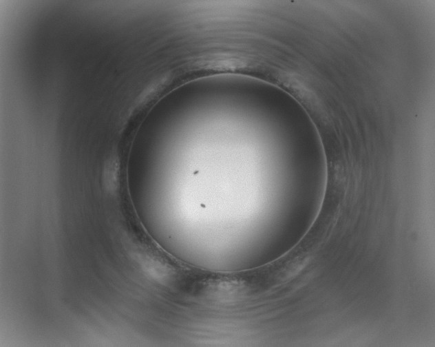 X0000071340304200606231145