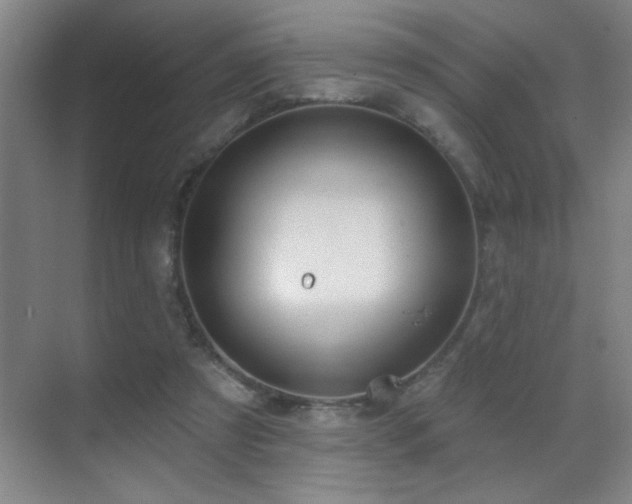 X0000071340305200606231145