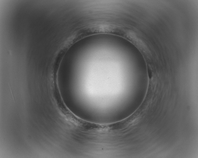 X0000071340306200606231145